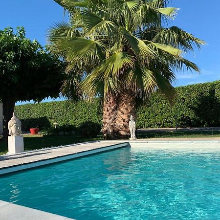 Atelier Des Vidaux Bed & Breakfast Saint-Aunes Exterior photo